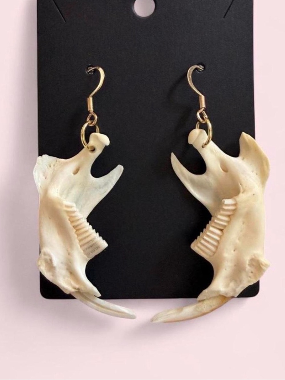 Muskrat Jaw Bone Gold Earrings